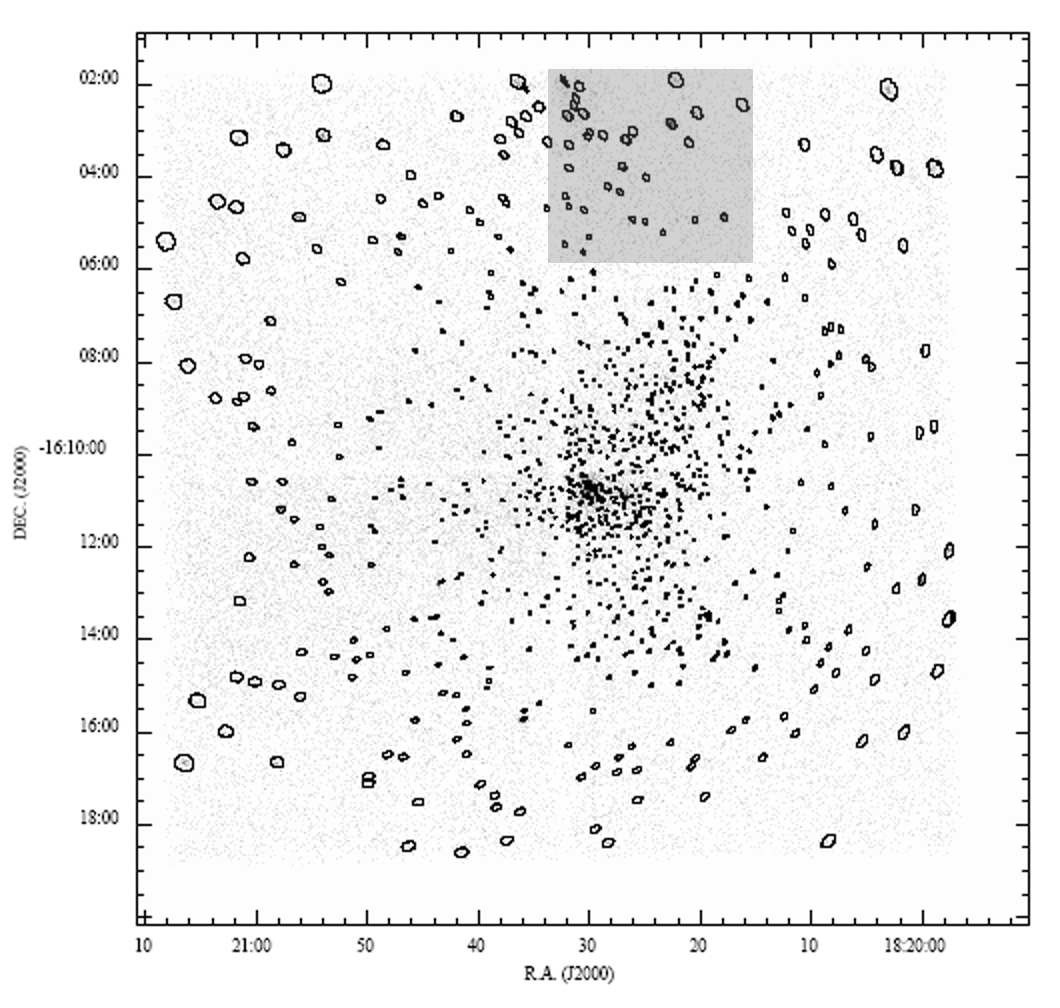Chandra M17 sources