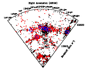 Cone diagram for Shapley Concentration of galaxies