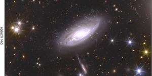 Reseach Higlights homepage 3 aa54836-25-fig1