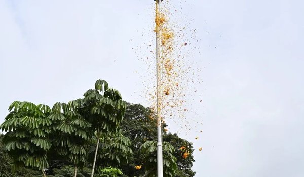 gallery slideshow 2 Independence Day celebrations at IIA Bengaluru