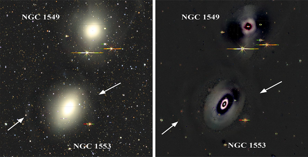 Kinematics of the lens host