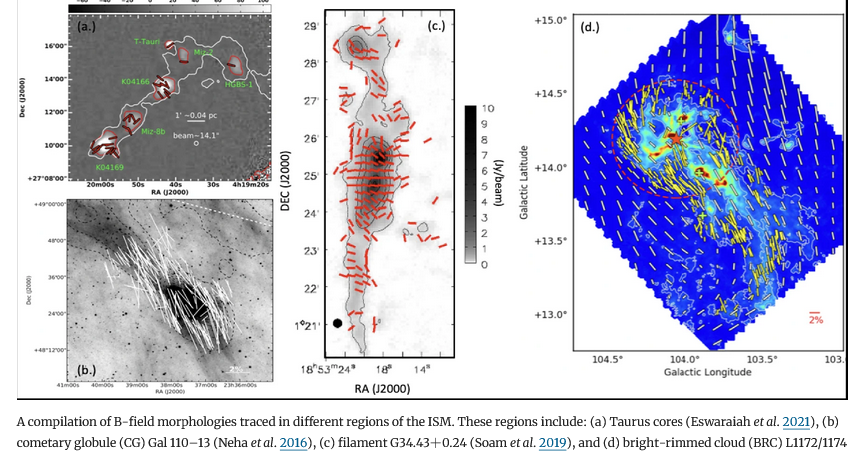 IIA in News - Turbulence and magnetic fields in star formation