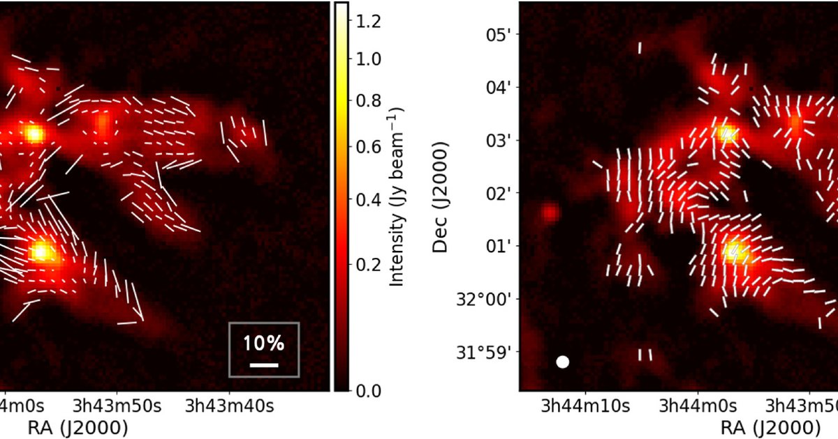 IIA in News - The JCMT BISTRO survey: The magnetic fields of the IC 348 ...