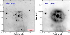Reseach Higlights homepage 3 m_staf1676fig1