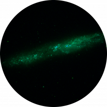 UVIT NGC 55